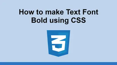 How to make Text Font Bold using CSS