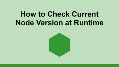 How to Check Current Node Version at Runtime