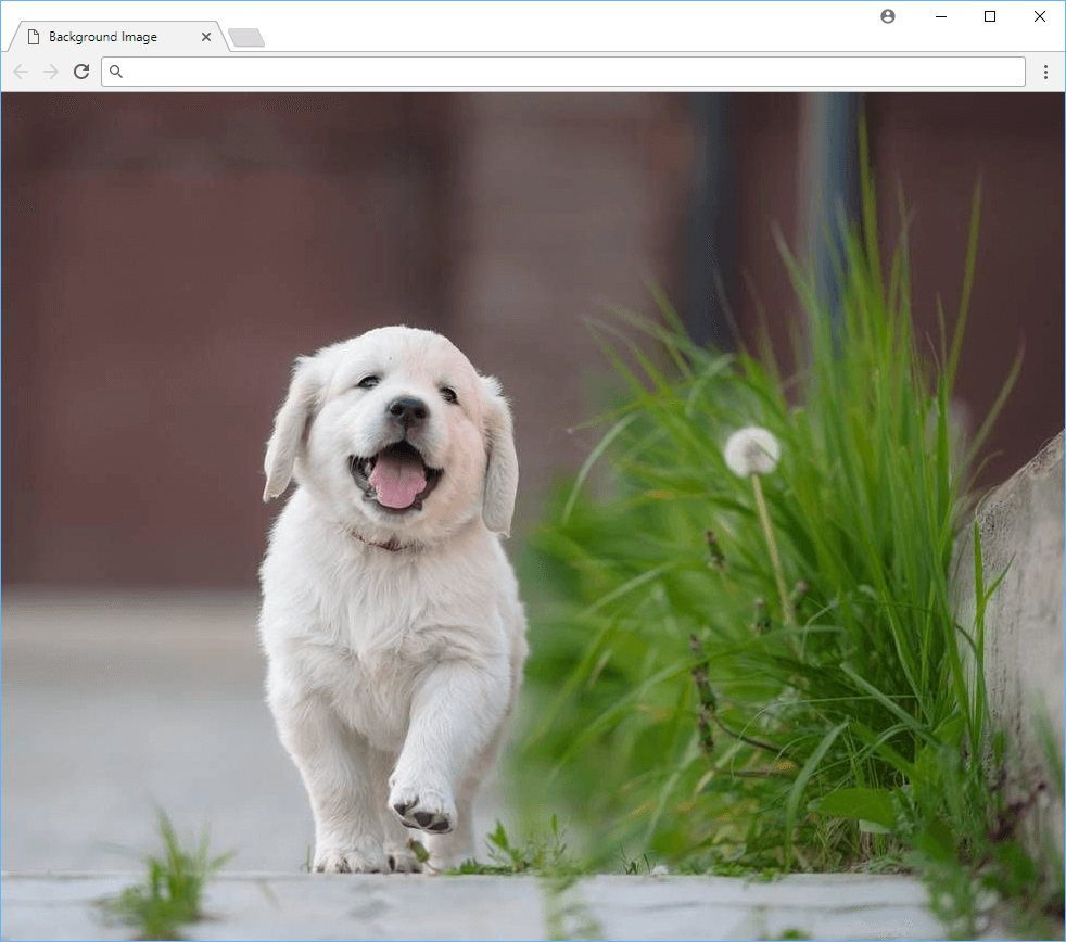 A cute puppy as your background image.